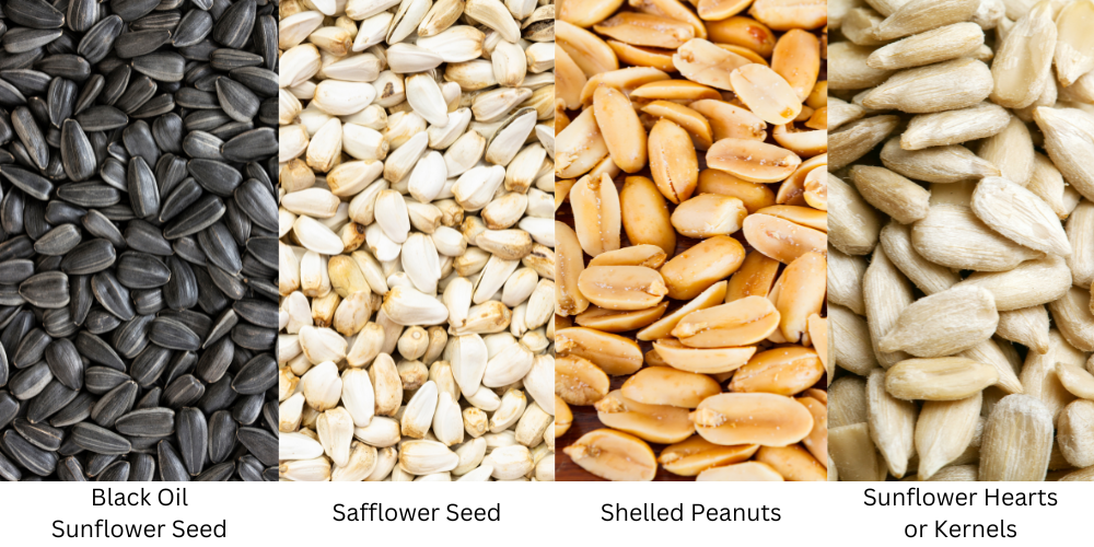 3 Changes to Make Bird Feeding Mess-Free: Controlled Amount, Hulled Seeds, and Tube Feeders