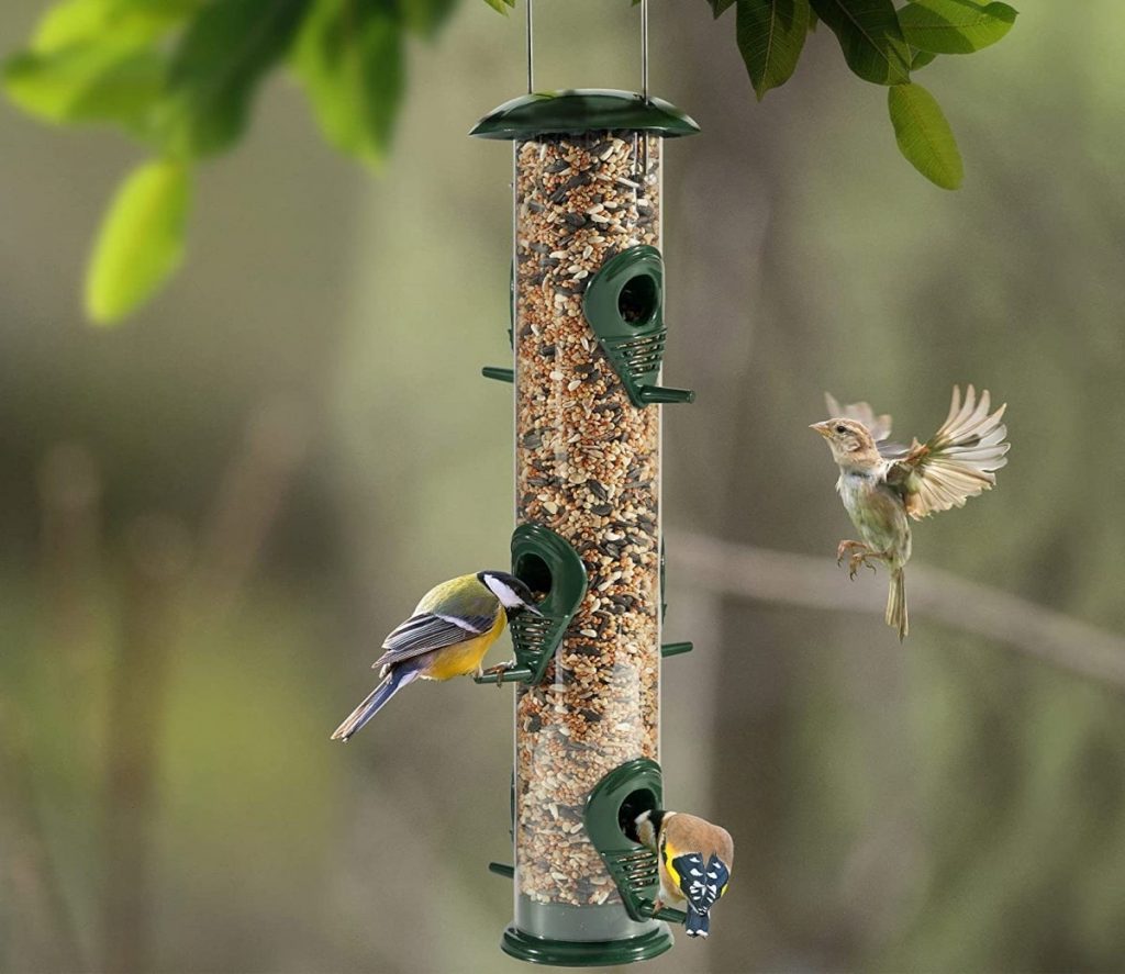 7 Major Types of Bird Feeders That Attract Different Kinds of Birds