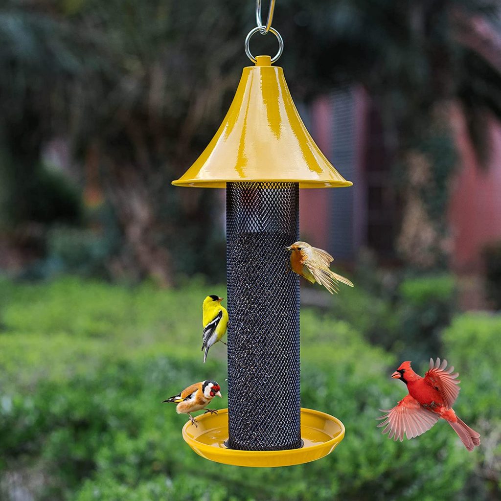 7 Major Types of Bird Feeders That Attract Different Kinds of Birds