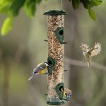 7 Major Types of Bird Feeders That Attract Different Kinds of Birds