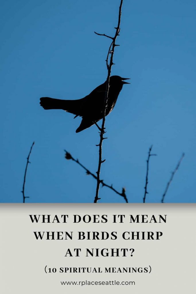 Bird Chirping: Spiritual and Symbolic Meanings