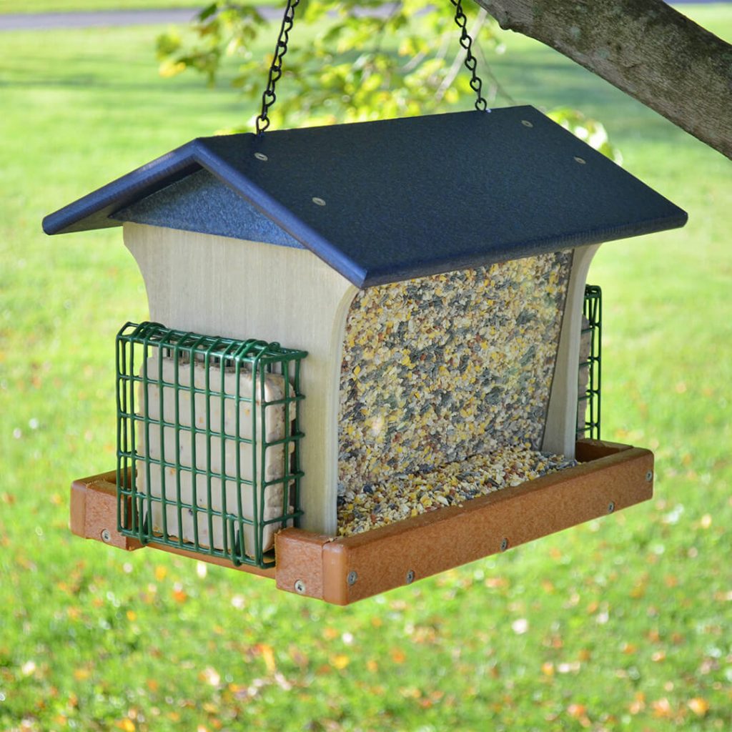 Common Reasons Why Birds Are Not Coming to Your Feeder