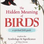 Exploring the Spiritual Meanings of Birds in Different Cultures