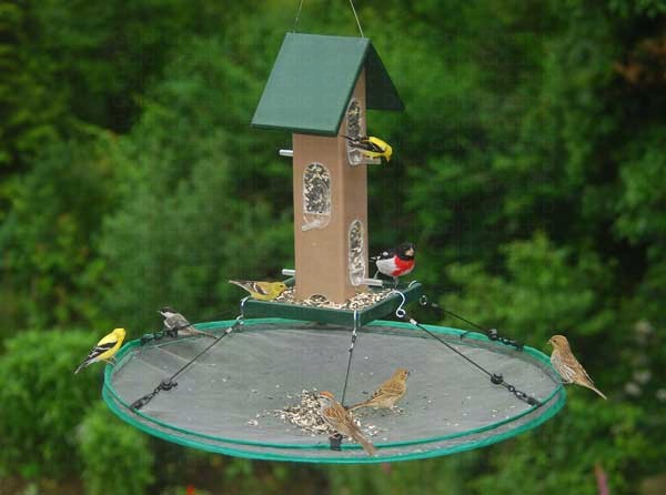 How to Reduce Mess When Feeding Birds