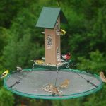 How to Reduce Mess When Feeding Birds