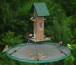 How to Reduce Mess When Feeding Birds