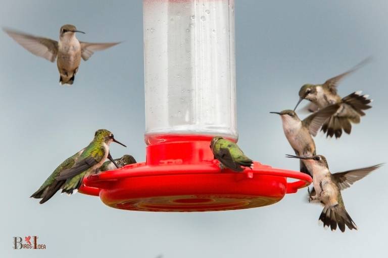 Hummingbirds fight over feeders to protect the sweet nectar, which is an important food source for them