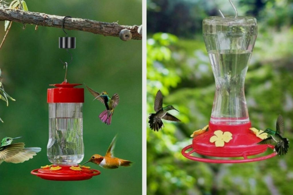 Ideal Placement for Hummingbird Feeders: Morning Sun and Afternoon Shade