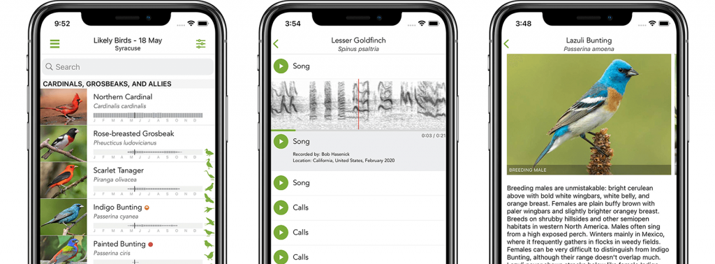 Identify bird songs and calls with the free Merlin Bird ID app