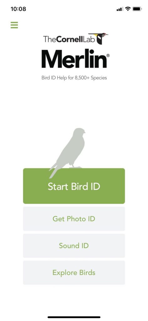 Identify bird songs and calls with the free Merlin Bird ID app