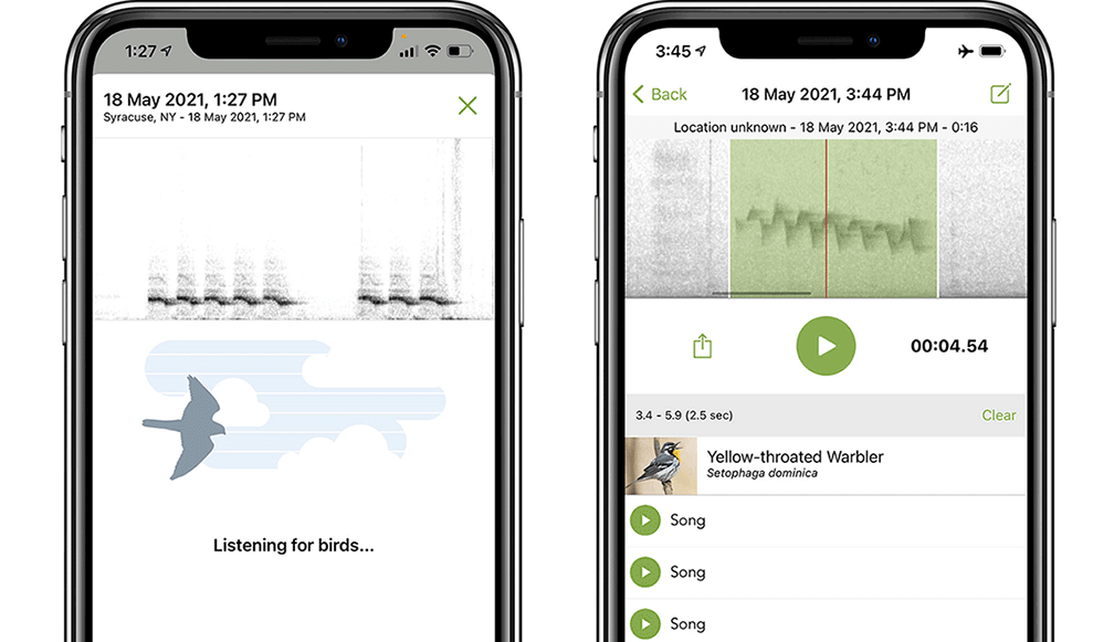 Identify bird songs and calls with the free Merlin Bird ID app