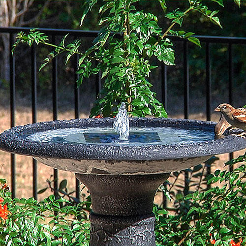 Solar powered fountains attract birds to bird baths