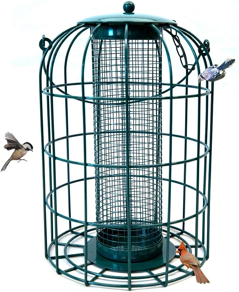 Squirrel-proof bird feeders enclosed in cages can prevent squirrels from getting in.