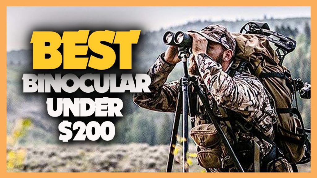 The 12 Best Birding Binoculars Under $200