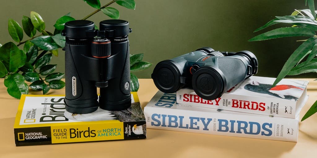 The 12 Best Birding Binoculars Under $200