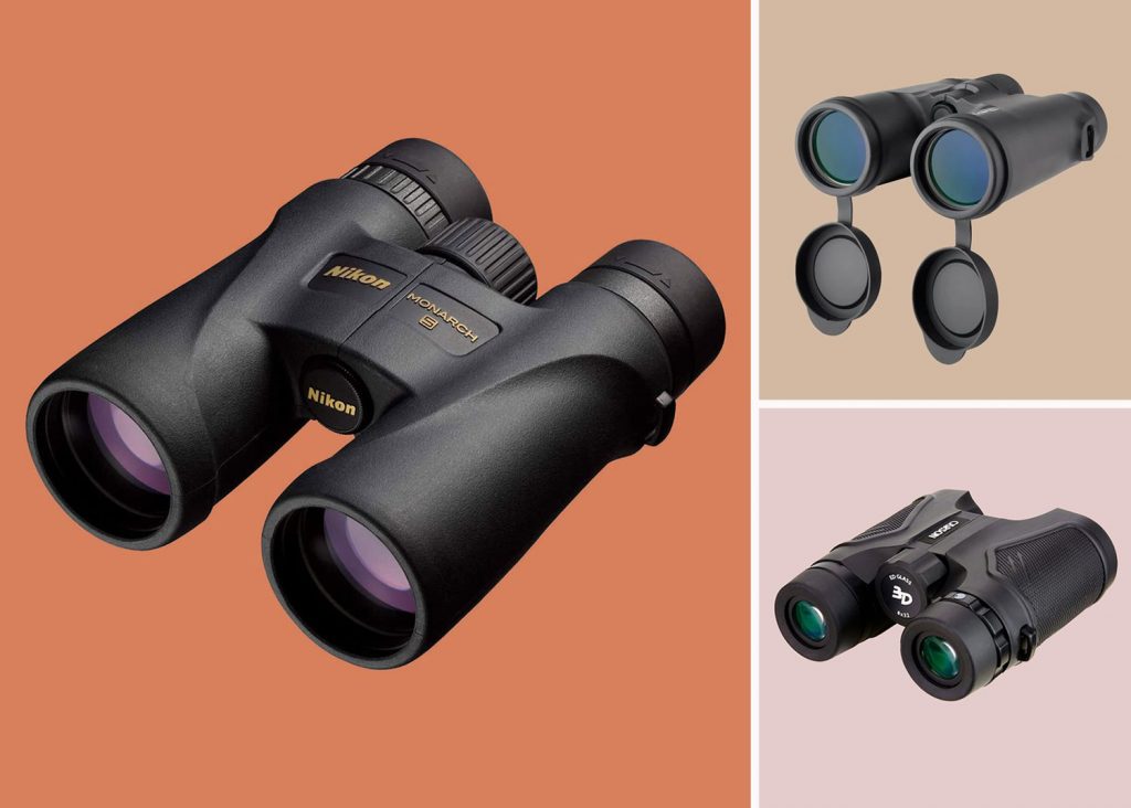 The 5 Best Binoculars for Bird Watching Beginners