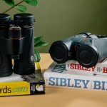 The 5 Best Binoculars for Bird Watching Beginners