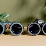 The Best Binoculars Under $100 for Backyard Bird Watching