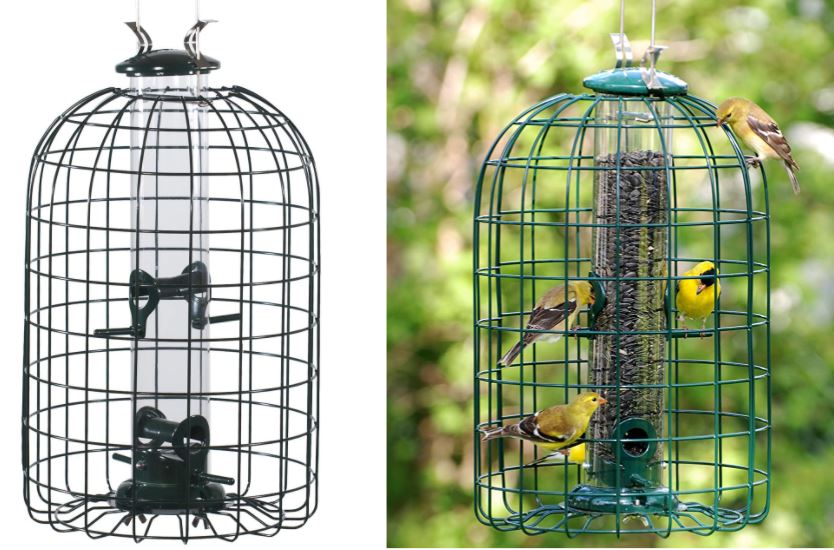 The Best Bird Feeders to Attract Small Birds