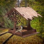 The Best Bird Feeders to Attract Small Birds