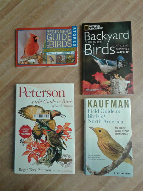 The Best Bird Watching Books for Beginners