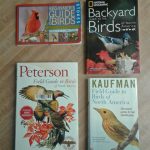 The Best Bird Watching Books for Beginners