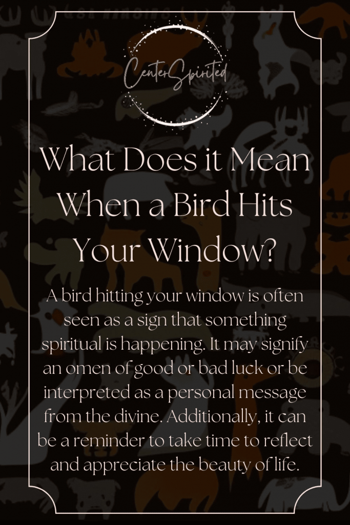 The Interpretations of a Bird Hitting Your Window