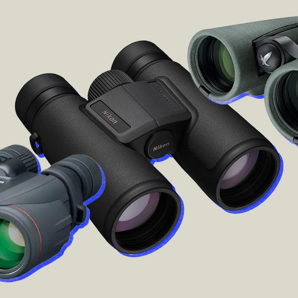 The Nikon Monarch Series: The Best Binoculars for Birding