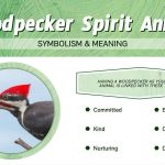 The Spiritual Significance of Woodpeckers in Various Cultures