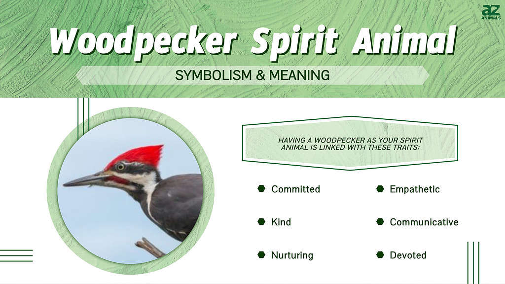 The Spiritual Significance of Woodpeckers in Various Cultures