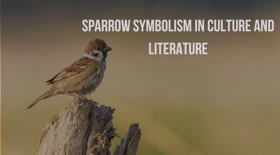 The Symbolic Meaning of Sparrows in Various Cultures