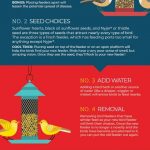 Tips for Attracting Birds to a Feeder