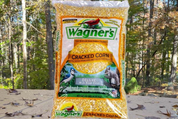 Why Cracked Corn Is a Popular Bird Food Choice