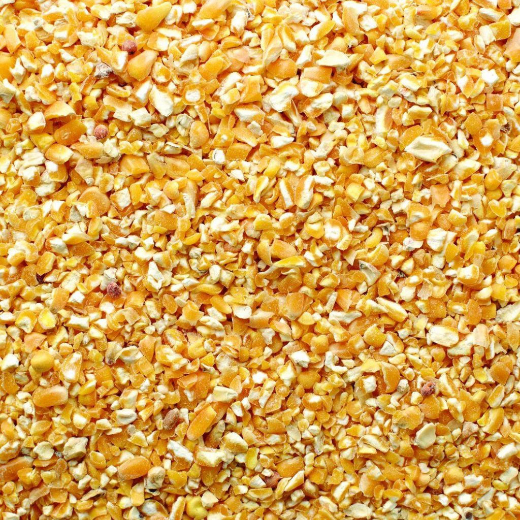 Why Cracked Corn Is a Popular Bird Food Choice